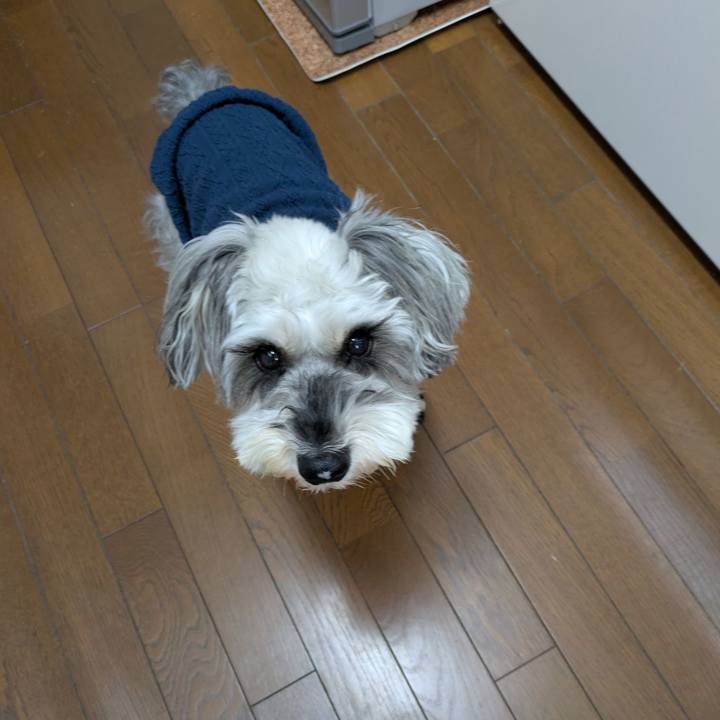 3f2361a7 cf3a 4c5d a01a d46217785c6f 1763947093068