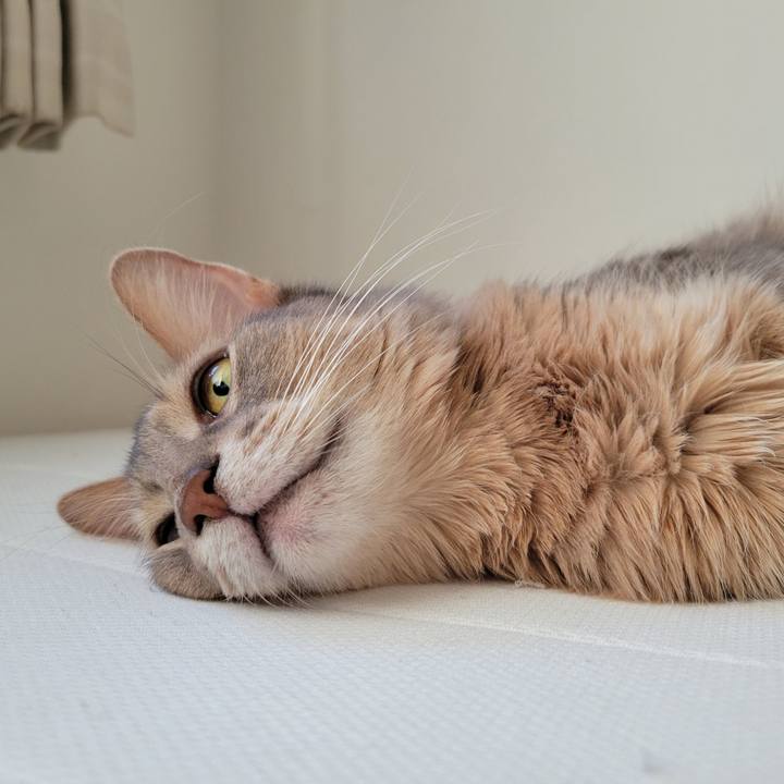 3f23bc58 85d2 4630 94d0 034e1af4a119 1635845408837