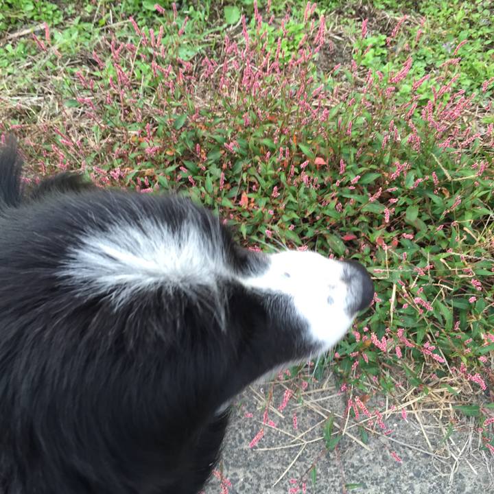 3f240158 4620 461a be3b 54863371aa8b 1539728995914