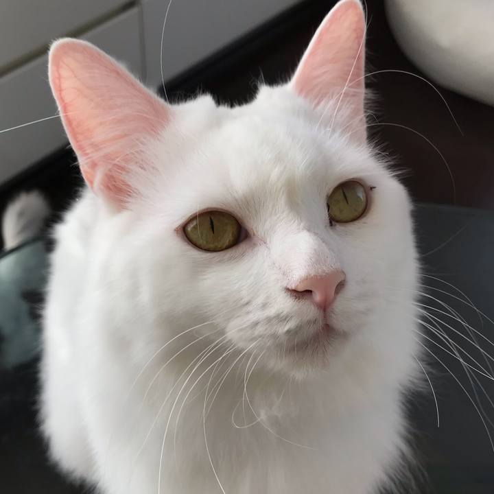 3f240d37 a941 427e 9c2e 11f6f6136f79 1540871149732