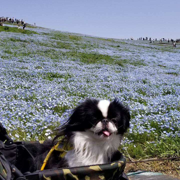 3f240e87 92f3 4415 9f6b b29b1a029457 1681473636748