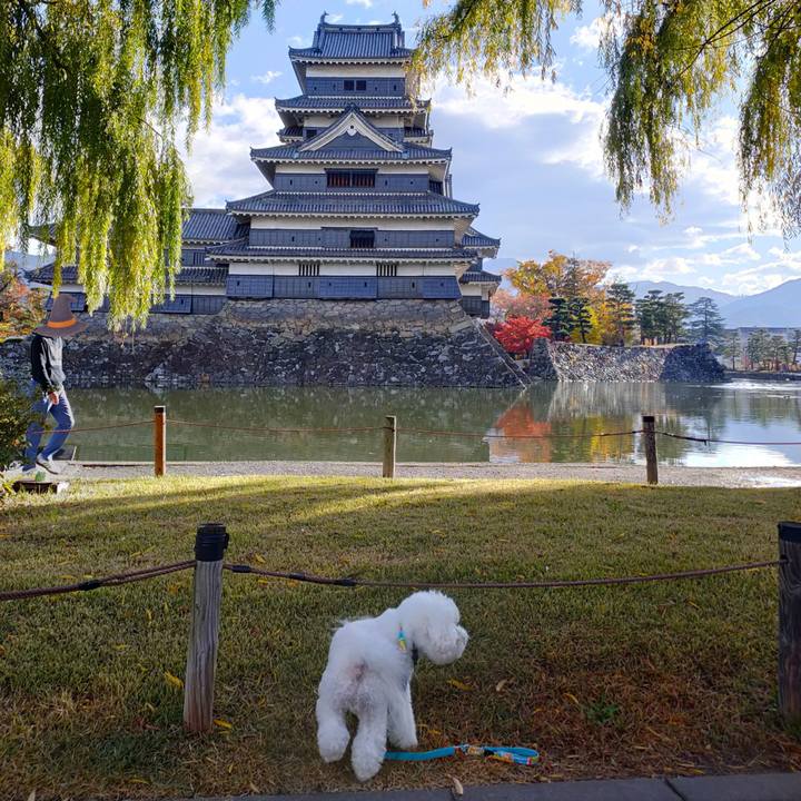 3f241212 8b19 43e6 9987 5b67c46281ee 1762862926440