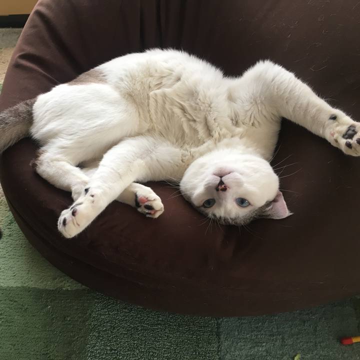 3f241f75 685e 49ef 9c15 2cf4d0a2854a 1551147697016