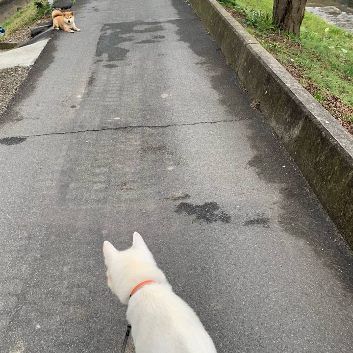 3f2421aa 83f1 4fb7 a038 1d4e7c210e2d 1581771635087