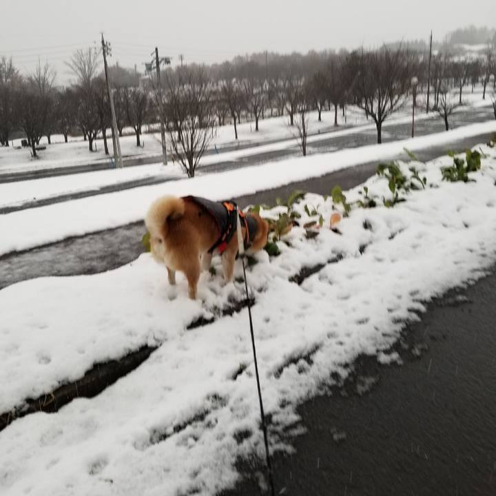 3f2455b6 5ef0 4947 98e8 e97b044b2642 1637991134390