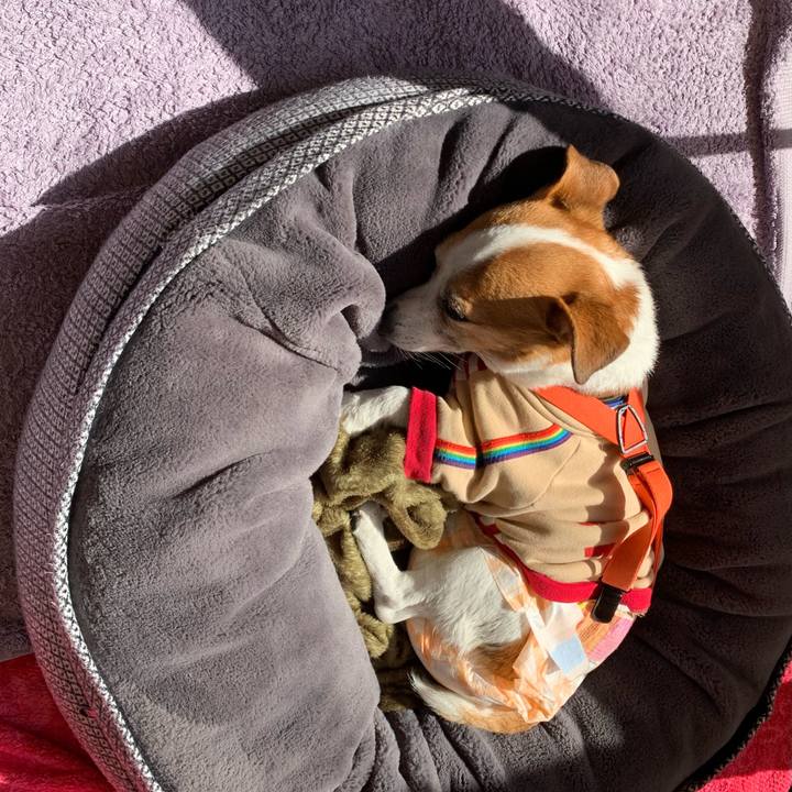 3f248990 5671 4b12 abd4 5784d1f80d44 1646537508295