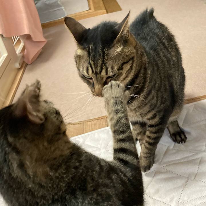 3f24a71b 574f 41e2 86f6 6f741fb6e063 1609050620342