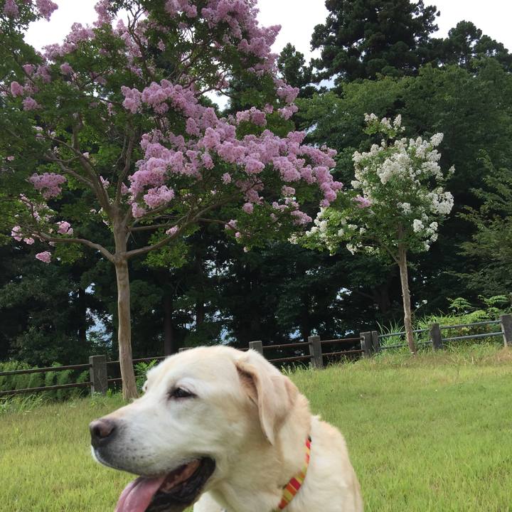 3f24f8c1 a31f 42da b39f 58c758ede80d 1534126309962