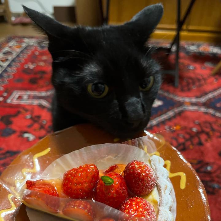 3f252a4e 6cb5 4df2 912f c6275d1330f7 1674004487179