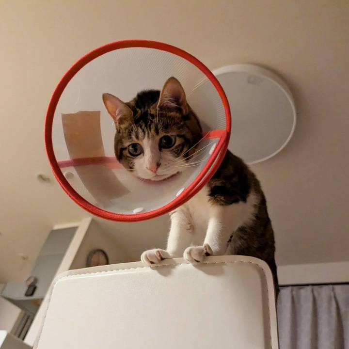 3f254fc2 aa7c 4134 8cb0 77cd800efff2 1759477122477