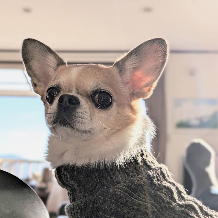 3f2584e7 416d 4496 8633 8822797b7ec4 1735350641400