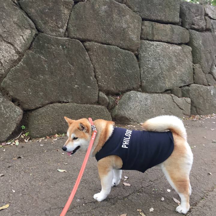 3f25eaa2 d706 4974 b812 c25c11a9aa2d 1556519685612