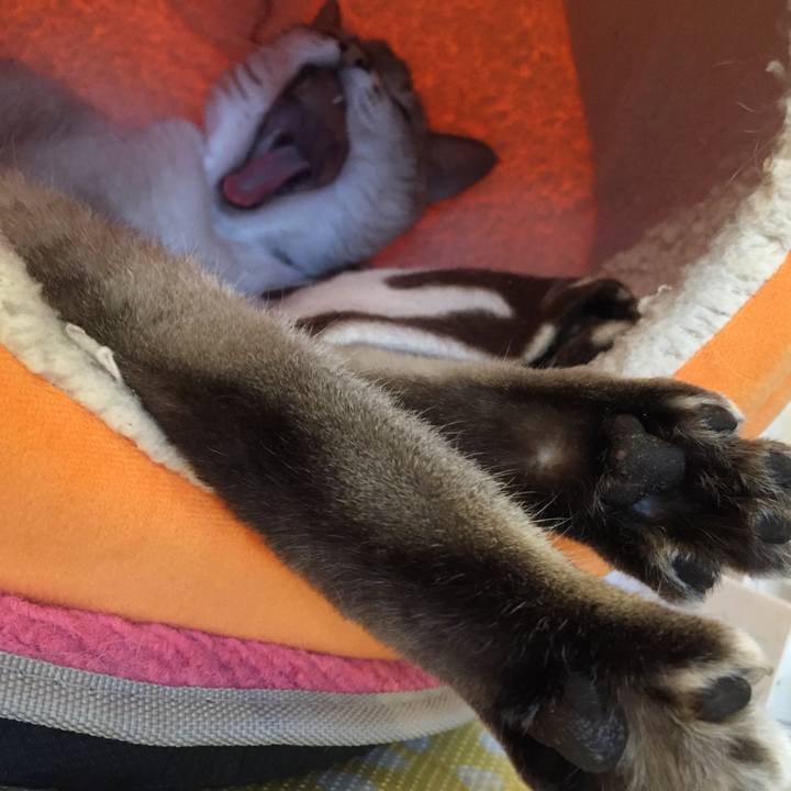 3f25fda3 33fb 4c59 b52c ba12997d178f 1517095011666