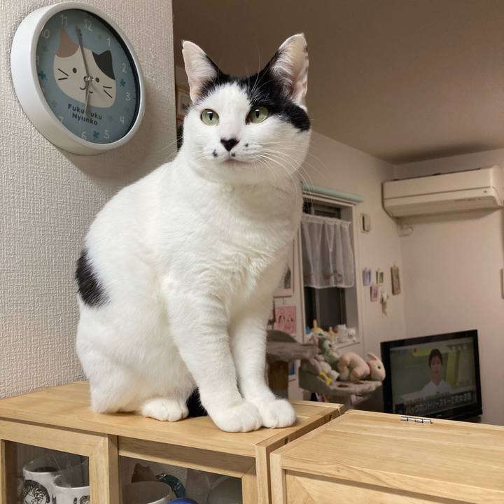 3f260357 2287 4e06 b9fc 1adcc3d8df61 1767473786064