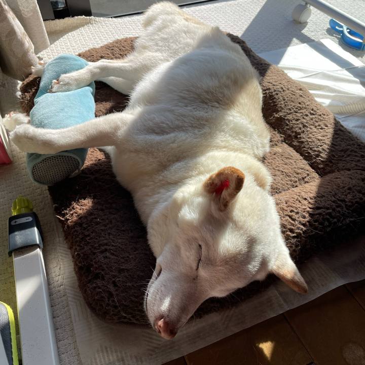 3f262a7c e2ab 4d46 a957 c2559622bfd5 1637387642918