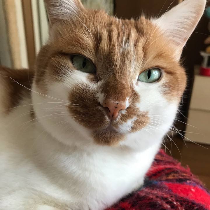 3f263783 9c9a 4e26 b987 e2c1ed402a5b 1552608730925