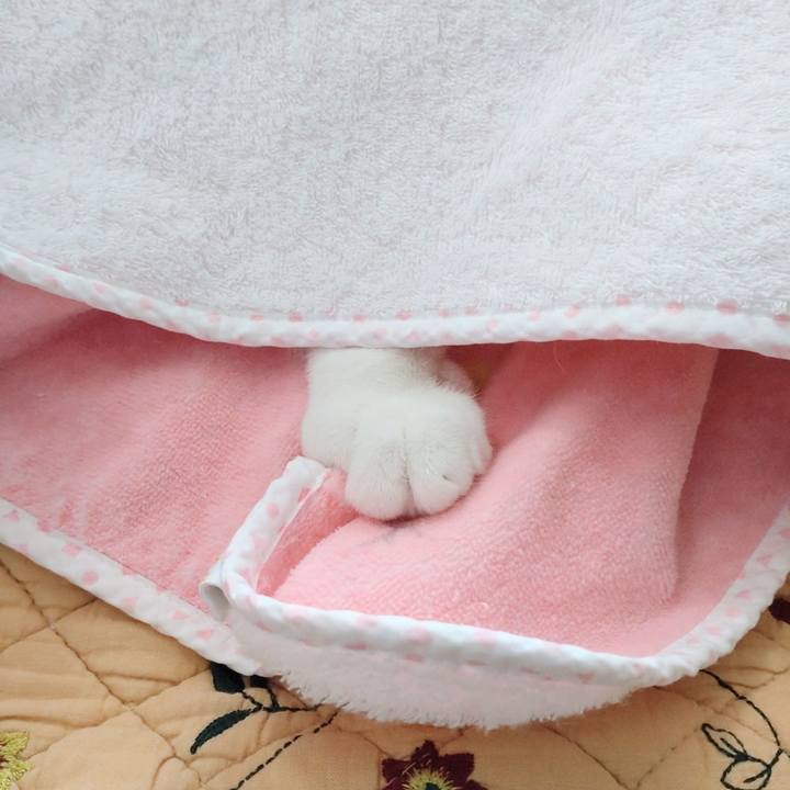 3f267453 77b4 4c23 baf2 dbb1ff1af6d4 1742532173017