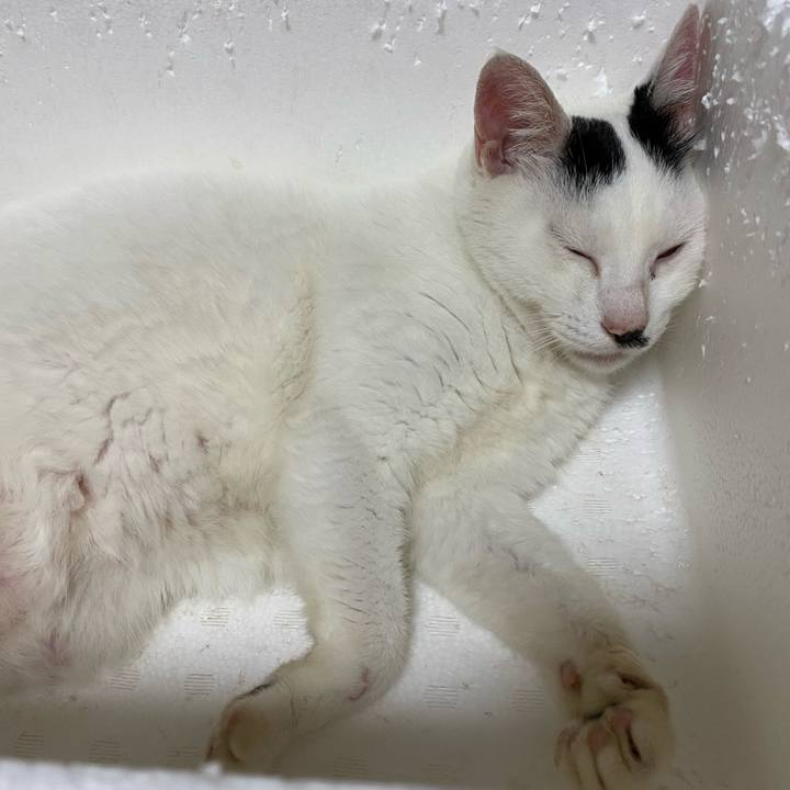 3f269051 7a10 4bcf 80bd beba2bd91668 1626358911917