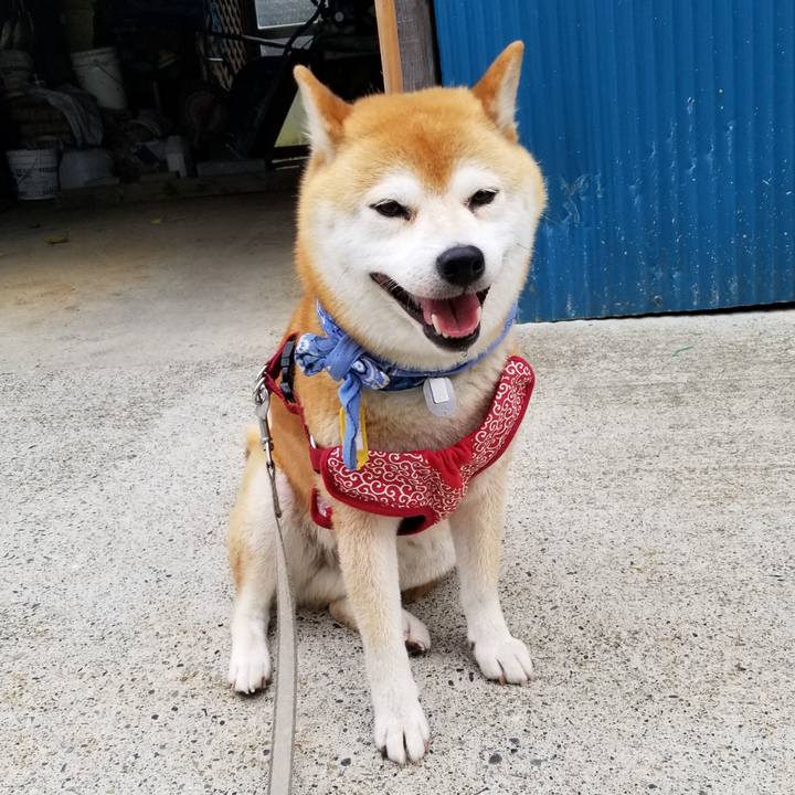 3f2690d5 30b4 47db 9f4d cc1f66da0f34 1561596428039