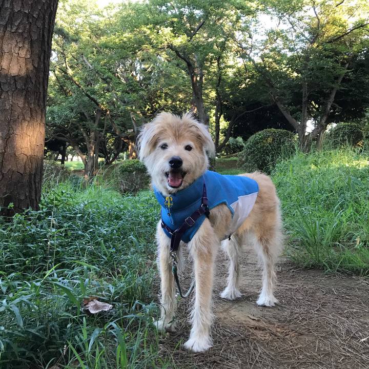 3f26a1b3 aef7 44dd 862d e5b8df17d579 1565131356322