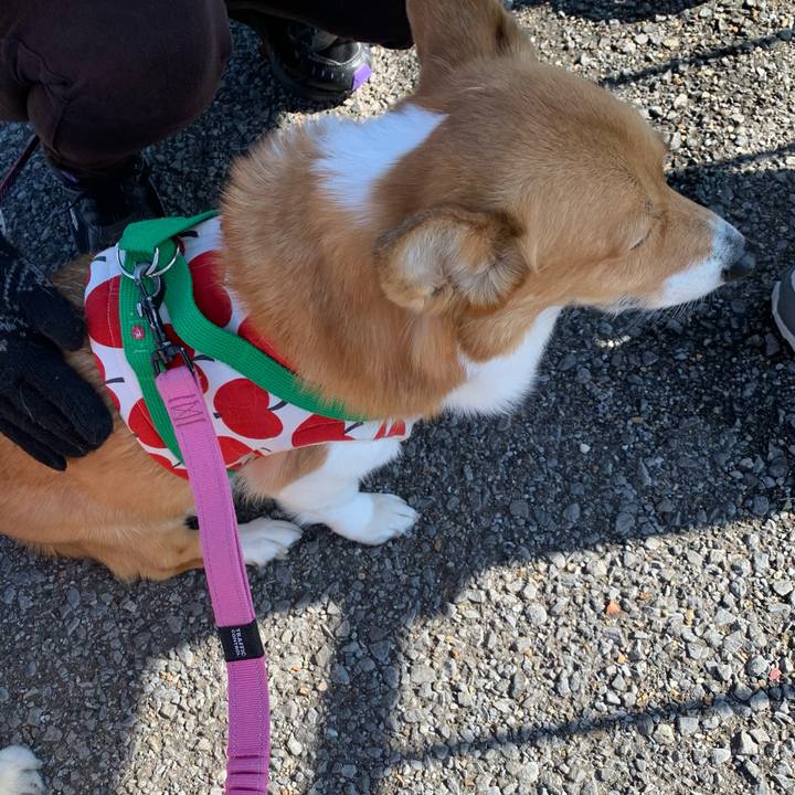 3f26a1c3 9629 4ef5 ba73 8201e4ddae5f 1707278044538