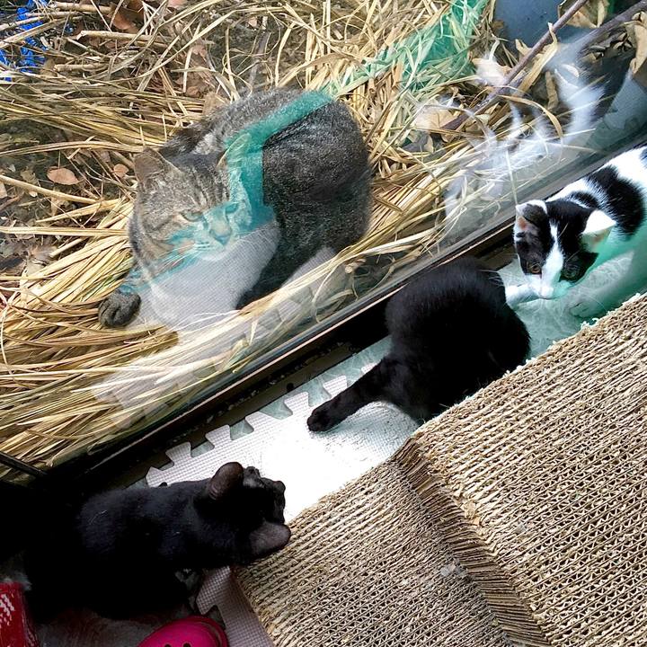 3f26b7f1 7259 40cb a01e aaa170109d28 1629149994927