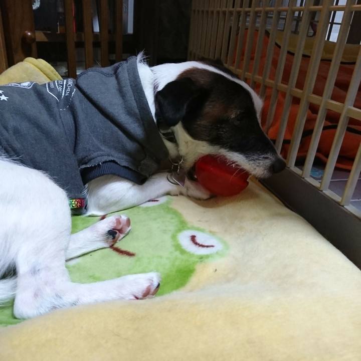 3f26b9bd 9ac0 4ba2 92ea 9a77d5663fec 1508247189655