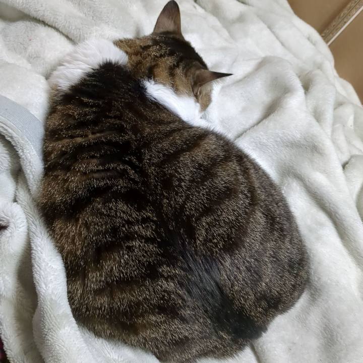 3f26cf64 d971 473c 8726 30b80fe27174 1671447176451