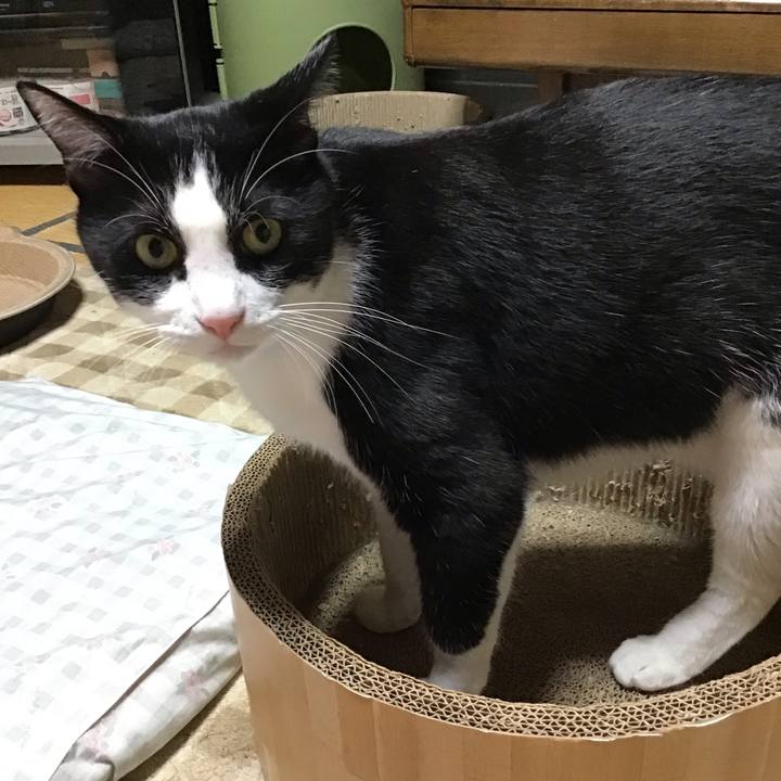 3f26f161 eb2d 459e ba8f 5d74ba5486fc 1730279981479