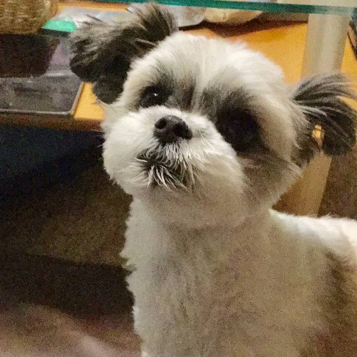 3f26f3ac 620a 4ec1 b942 91205dff1605 1508248152791