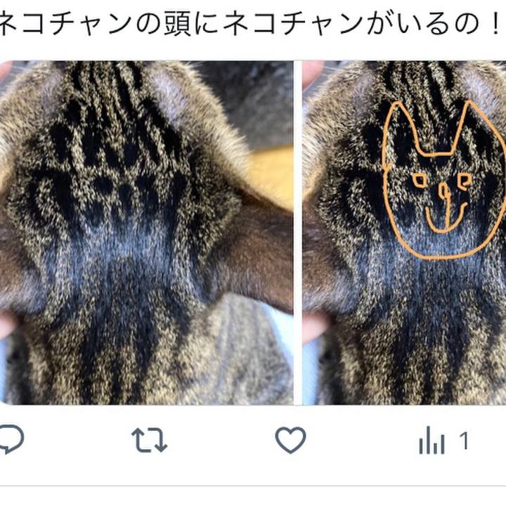 3f26ff9b 82dc 4ae8 8a90 ffcdf21d6f1c 1691500239682