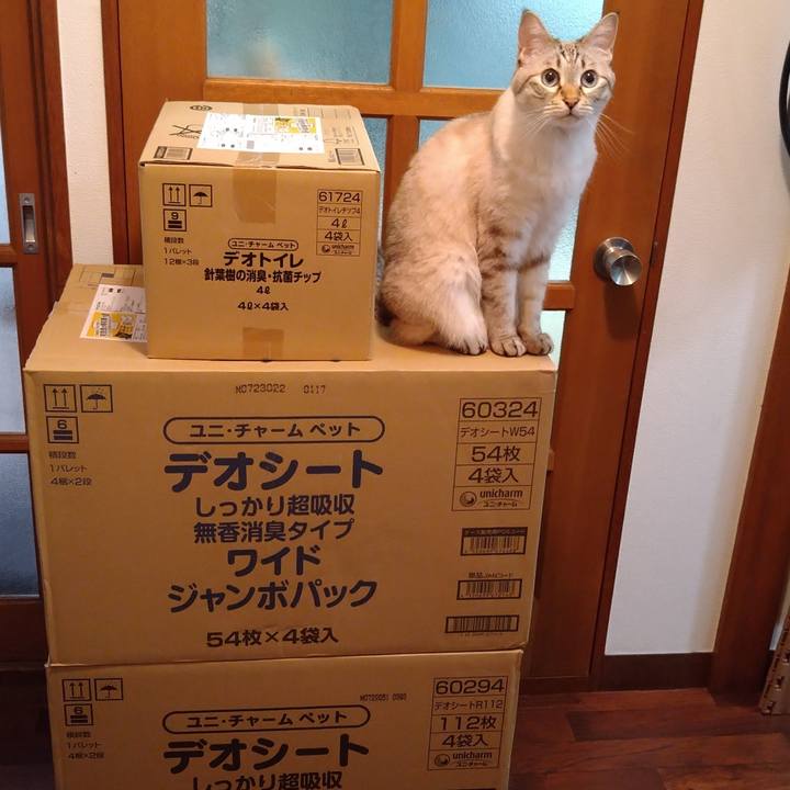 3f271f7a f78e 4416 a627 03a0862bab69 1659010536516