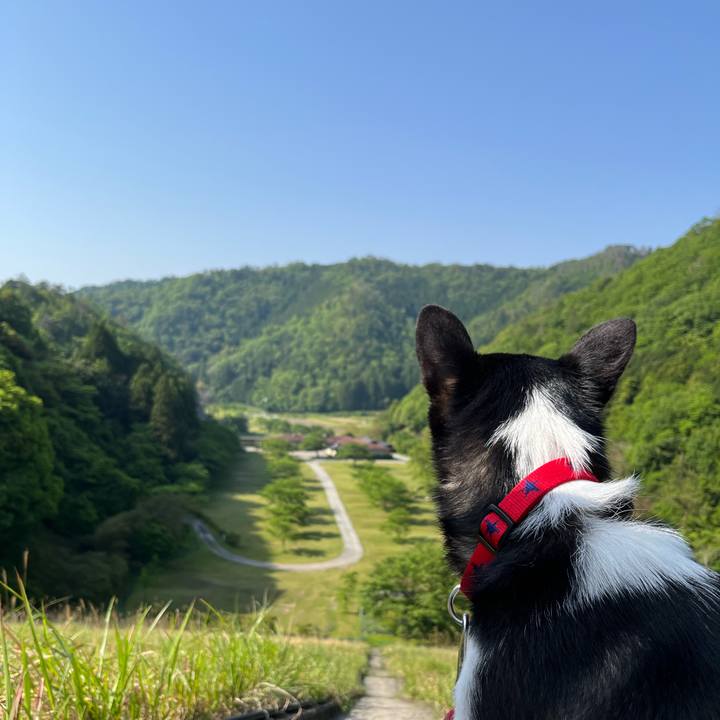 3f2724bb 5a2c 415d 9bba 4d32b8c7c68c 1684295034603