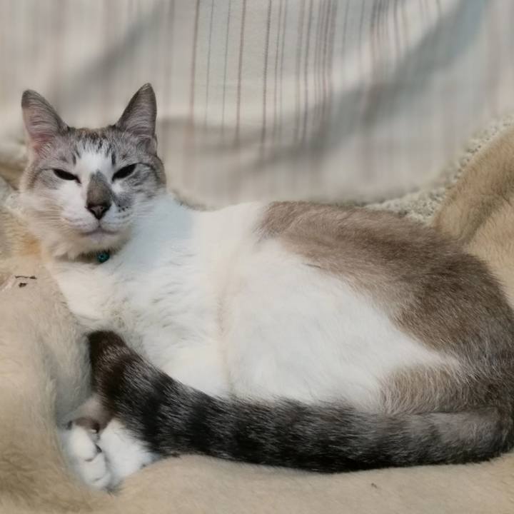 3f2733ad 29b1 481f a321 433b7e5d9adc 1553593324645