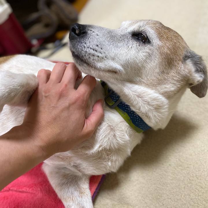 3f275704 67f3 49f6 8b1f 0c167b1ba156 1659018783766