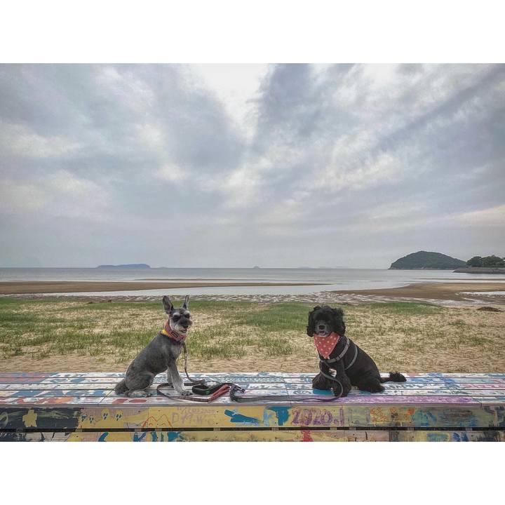 3f27622a 4edc 471d 939a 79f648ecc752 1622641695474