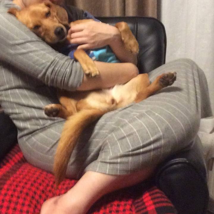 3f2776f2 30de 4dfd 8c89 9dd06945f6d3 1521981470685