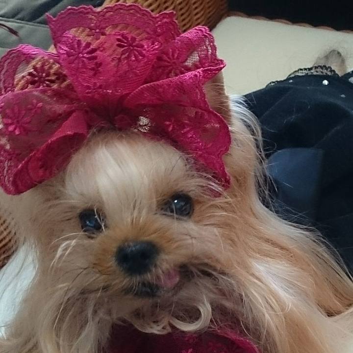 3f278188 0e33 400d 815d 5f784765a9b4 1697241230525