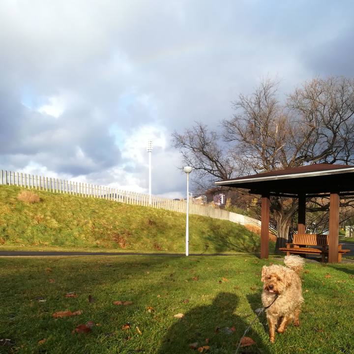 3f278cdd 49ad 491f 84ee ceebbb005f39 1541891700558