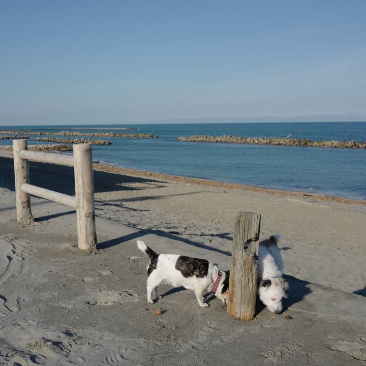 3f27cc2b 1790 4d75 8fe1 aba07193746a 1571373693350