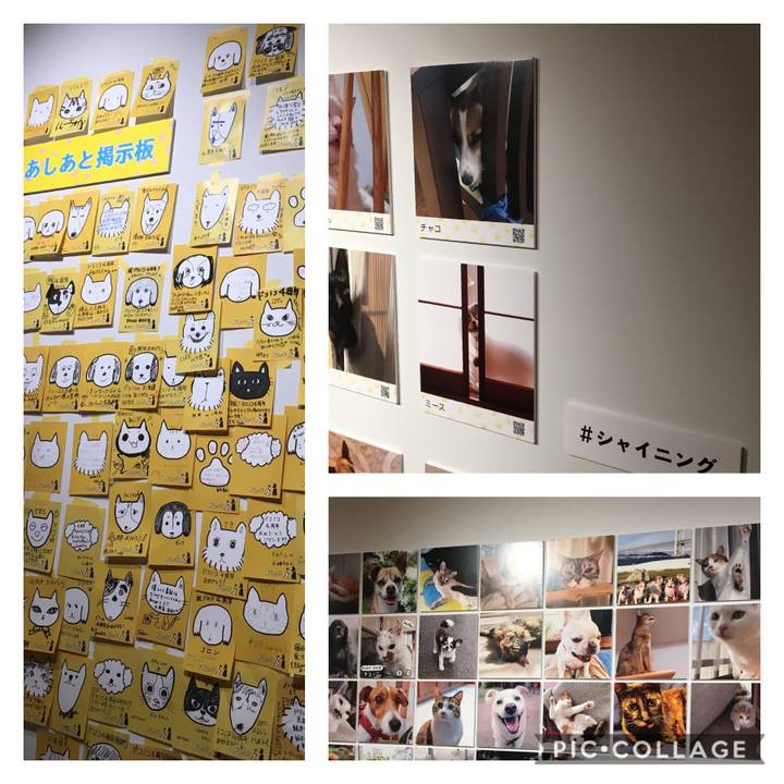 3f27dfb7 47e0 4380 a8db 89b0f9bf1e4b 1592349581048