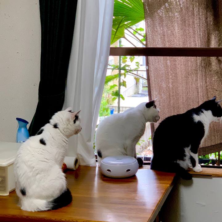 3f27ed8b c3fd 4eee a717 3a29a555ddc9 1594254625142