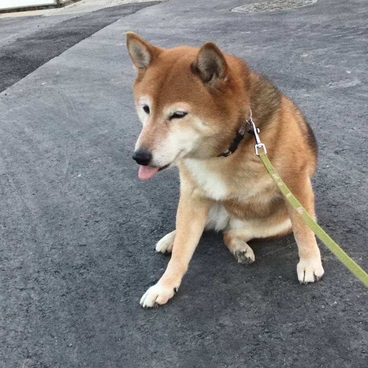 3f27f0de e223 4968 a74d 447955dc55ca 1611308195579