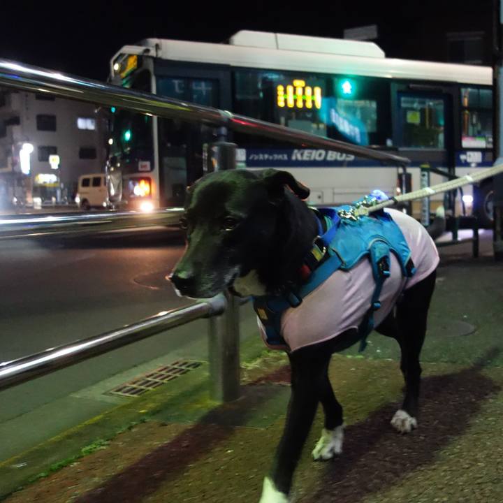 3f2816ac 415c 44d1 832b 4e9efbdd1946 1676805018228