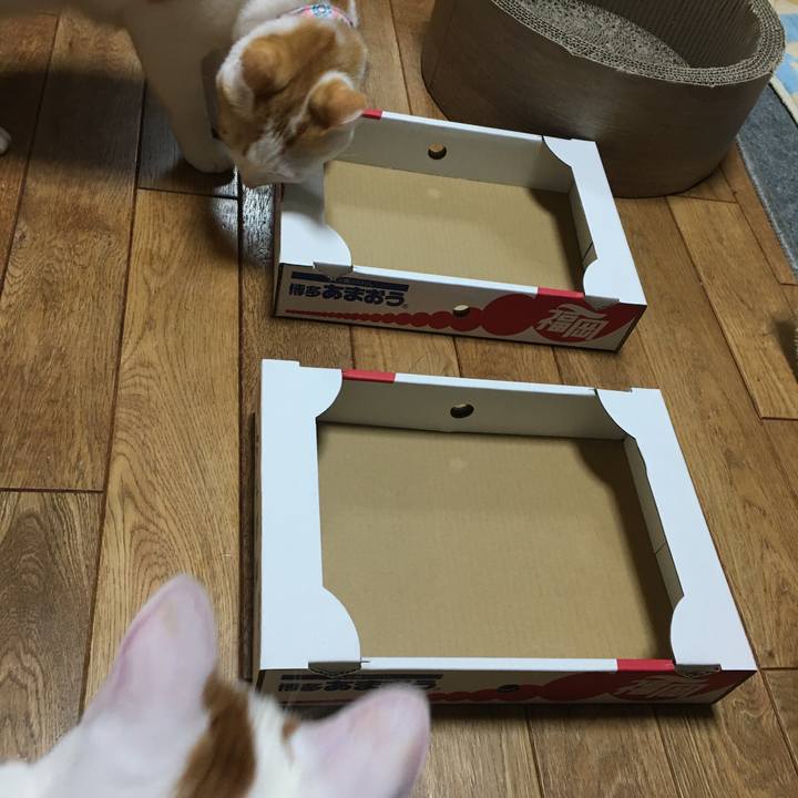 3f281925 9b9c 49a7 a5f3 ef8a9dc90b77 1518669784147