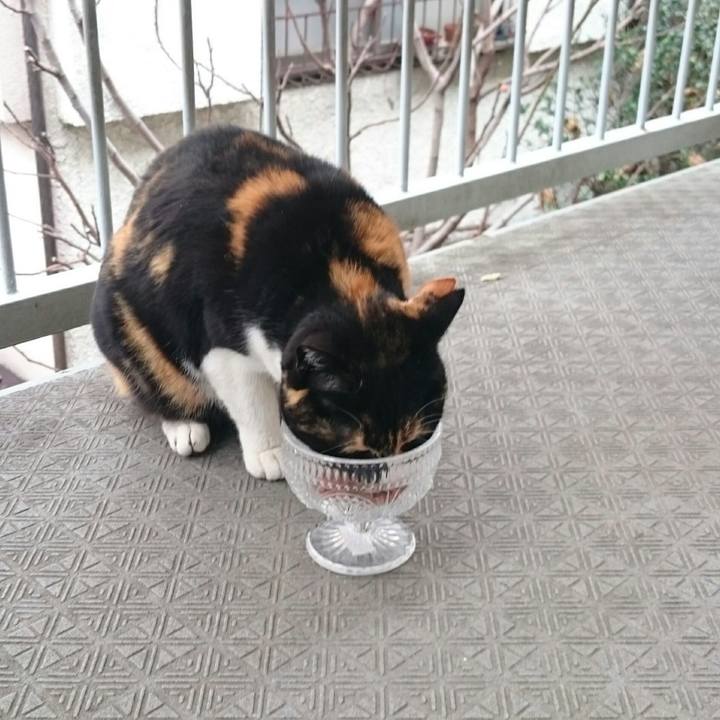 3f281adf b2dc 45e7 bb97 36c989dda97e 1520655572547