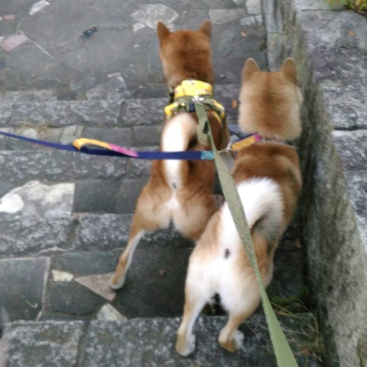 3f2843c6 98d3 4938 a060 75485e470327 1513583036085