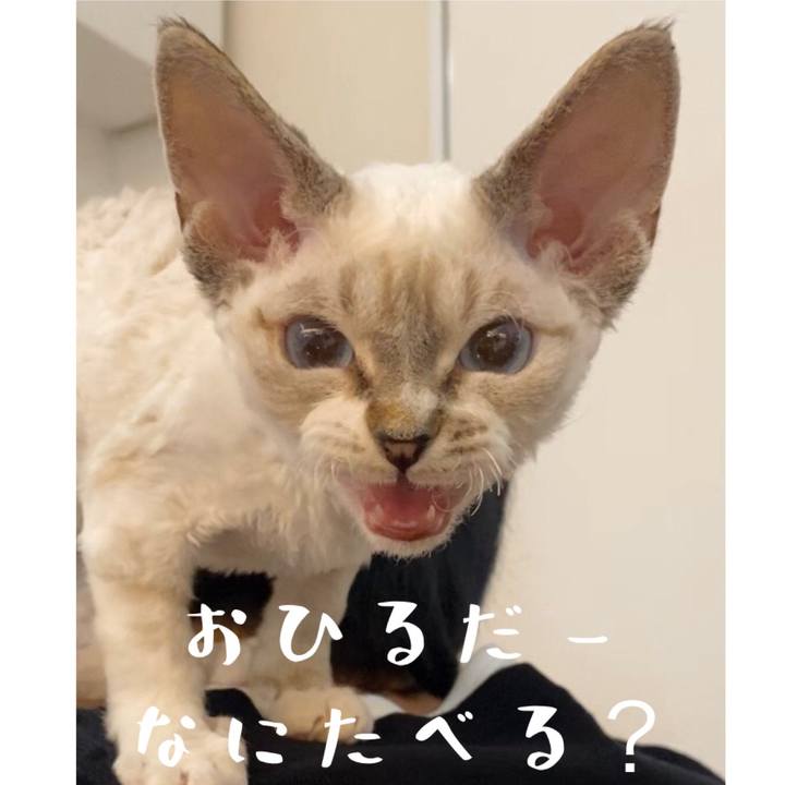 3f28755e 48a1 4031 a7fc 3d3ff1af0d39 1585025012536