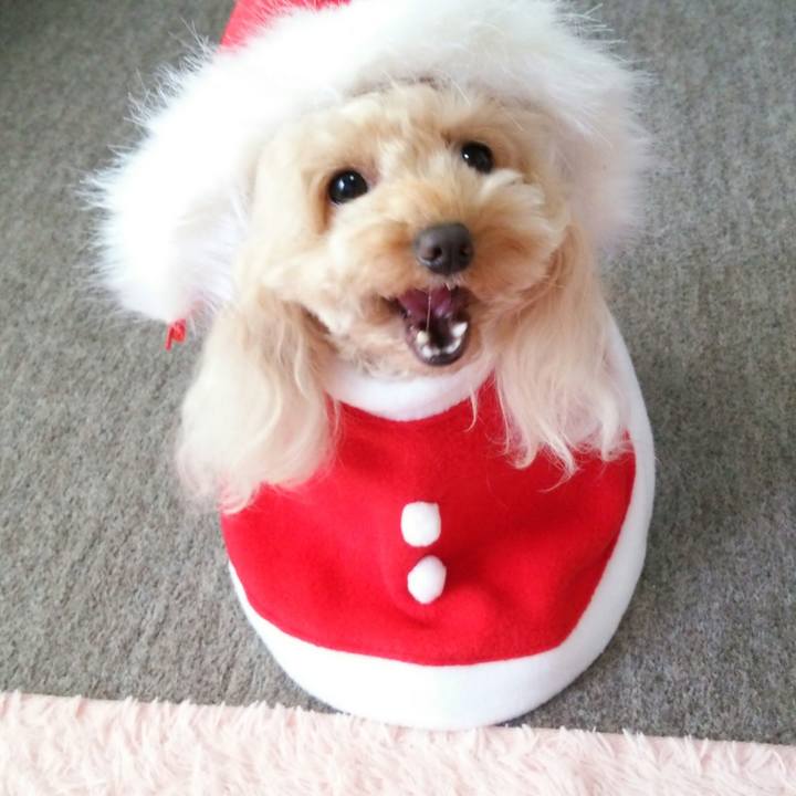 3f28d9cf cfcf 4dbf 9071 8ba2e8e9d5ab 1540894944588