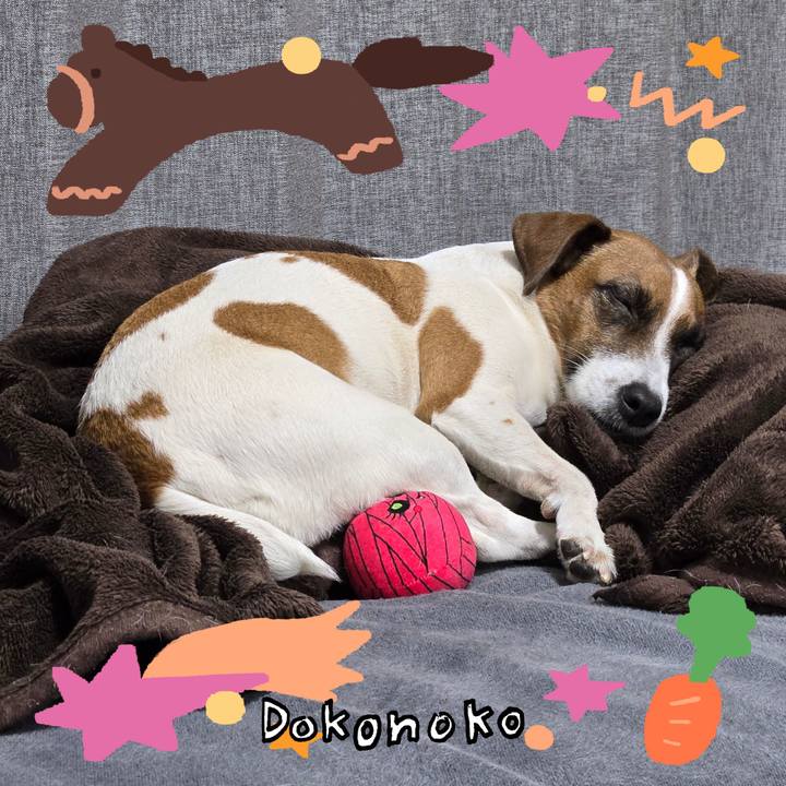 3f291860 6695 45ab 8fc1 0f0151b3971d 1771857668883